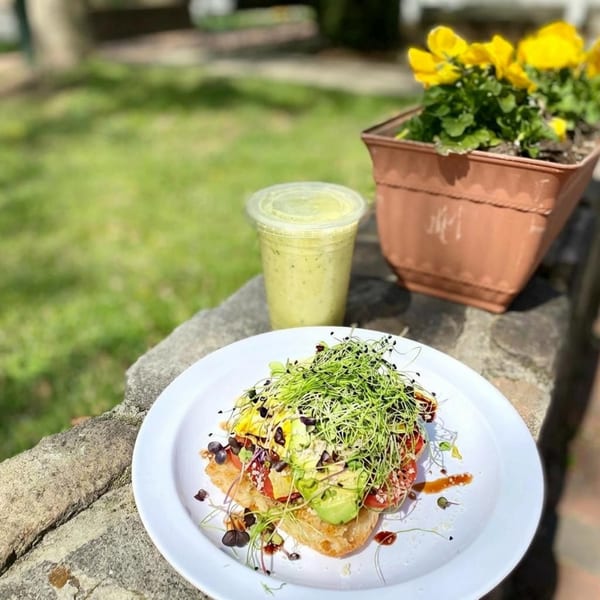 Avocado toast with microgreens and a green smoothie on a stone wall outdoors at Hidden Julles.
